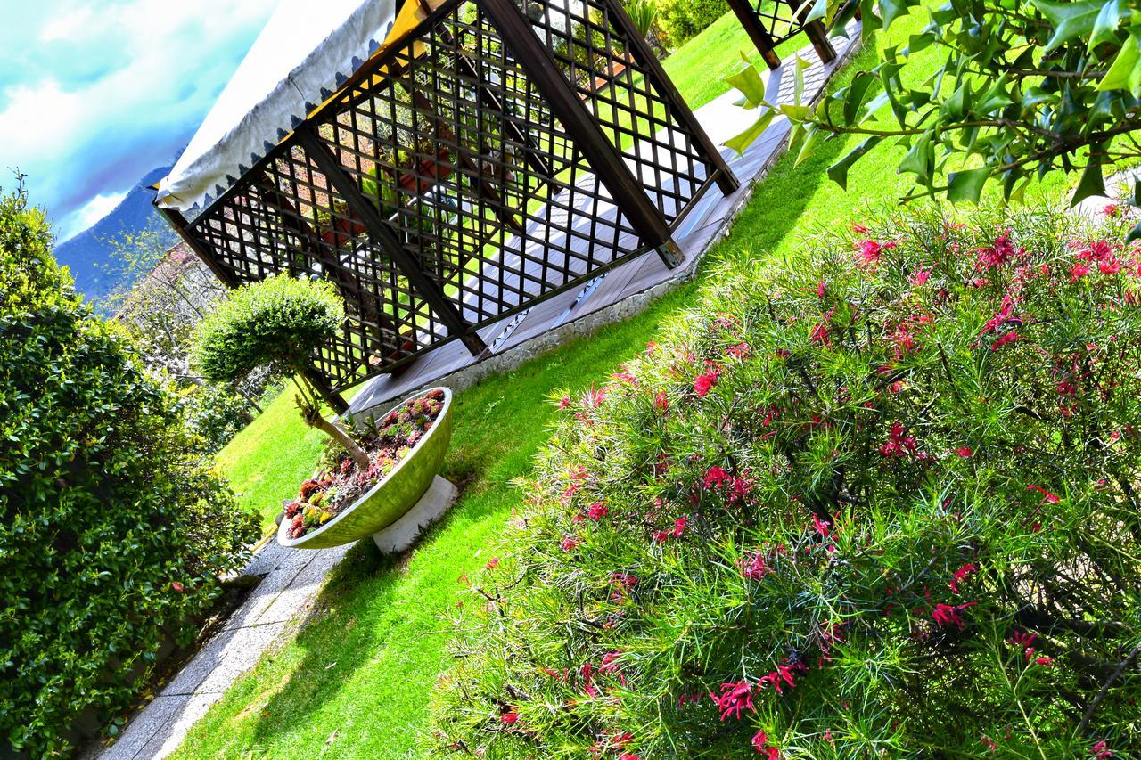 Bed & Breakfast Soraya 3*